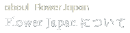 Flower Japanについて